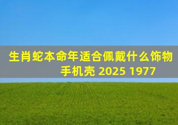 生肖蛇本命年适合佩戴什么饰物 手机壳 2025 1977